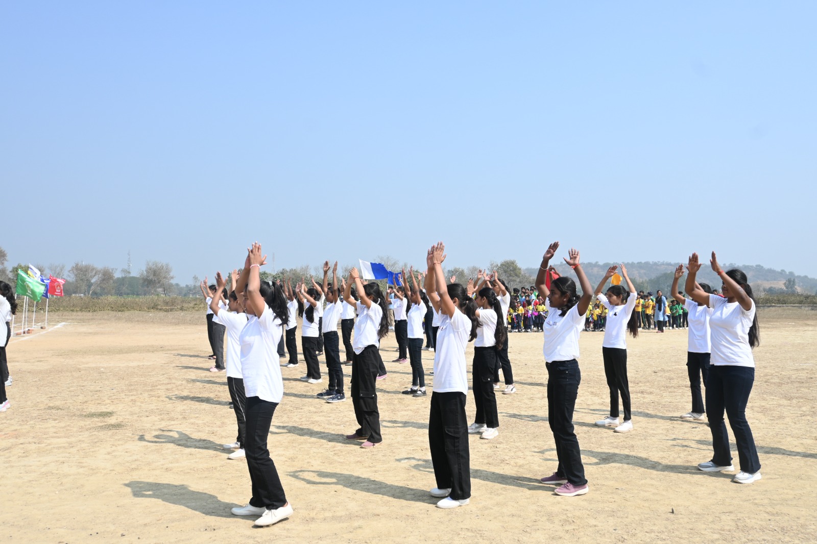BDPS-Img (15)