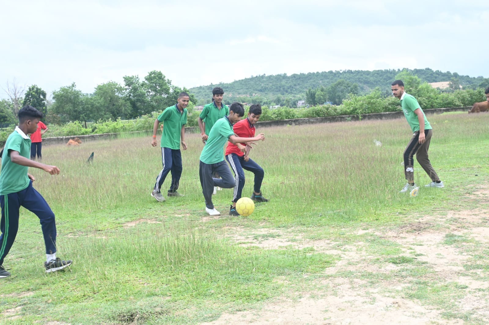 bdps-aug (26)